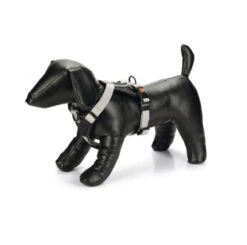 KARLIE Y-Geschirr ART SPORTIV Premium Neopren Versch. Größen Farben Für Hunde 7 KARLIE Y-Geschirr ART SPORTIV Premium Neopren Versch. Größen Farben Für Hunde -Karlie || KOCH Verkäufe karlie y geschirr art sportiv premium neopren versch groessen farben fuer hunde4