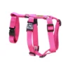 KOCH Geschirr COMFORT PANIKGESCHIRR Nylon Fuchsie/pink 20mm Breit Für Hunde