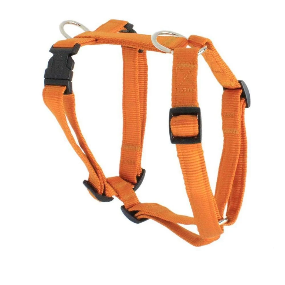 KOCH Geschirr NYLON-GESCHIRR UNI 15mm 31-37cm XXS Gepolstert Für Hunde 1 KOCH Geschirr NYLON-GESCHIRR UNI 15mm 31-37cm XXS Gepolstert Für Hunde