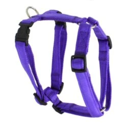 KOCH Geschirr NYLON-GESCHIRR UNI 20mm 45-60cm Gepolstert Für Hunde -Karlie || KOCH Verkäufe koch geschirr nylon geschirr uni 20mm 45 60cm gepolstert fuer hunde7