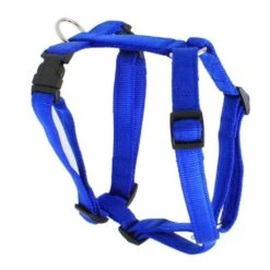 KOCH Geschirr NYLON-GESCHIRR UNI 20mm 50-72cm Gepolstert Für Hunde -Karlie || KOCH Verkäufe koch geschirr nylon geschirr uni 20mm 50 72cm gepolstert fuer hunde4