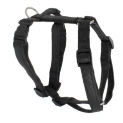 KOCH Geschirr NYLON-GESCHIRR UNI 20mm 50-72cm Gepolstert Für Hunde -Karlie || KOCH Verkäufe koch geschirr nylon geschirr uni 20mm 50 72cm gepolstert fuer hunde5