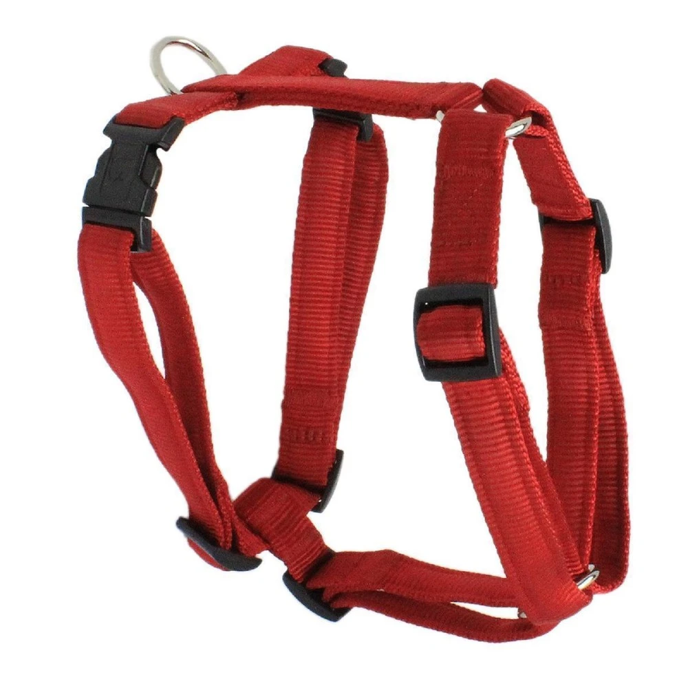 KOCH Geschirr NYLON-GESCHIRR UNI 20mm 58-87cm Gepolstert Für Hunde 1 KOCH Geschirr NYLON-GESCHIRR UNI 20mm 58-87cm Gepolstert Für Hunde