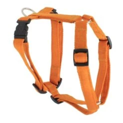 KOCH Geschirr NYLON-GESCHIRR UNI 25mm 80-115cm Gepolstert Für Hunde -Karlie || KOCH Verkäufe koch geschirr nylon geschirr uni 25mm 80 115cm gepolstert fuer hunde4