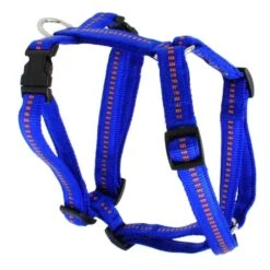 KOCH Geschirr NYLONGESCHIRR Mit Kennfäden 25mm 67-95cm Gepolstert Für Hunde -Karlie || KOCH Verkäufe koch geschirr nylongeschirr mit kennfaeden 25mm 67 95cm gepolstert fuer hunde7