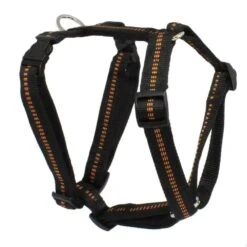 KOCH Geschirr NYLONGESCHIRR Mit Kennfäden 25mm 67-95cm Gepolstert Für Hunde -Karlie || KOCH Verkäufe koch geschirr nylongeschirr mit kennfaeden 25mm 67 95cm gepolstert fuer hunde9