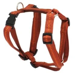 KOCH Geschirr NYLONGESCHIRR Mit Kennfäden 25mm 80-115cm Gepolstert Für Hunde 17 KOCH Geschirr NYLONGESCHIRR Mit Kennfäden 25mm 80-115cm Gepolstert Für Hunde -Karlie || KOCH Verkäufe koch geschirr nylongeschirr mit kennfaeden 25mm 80 115cm gepolstert fuer hunde8