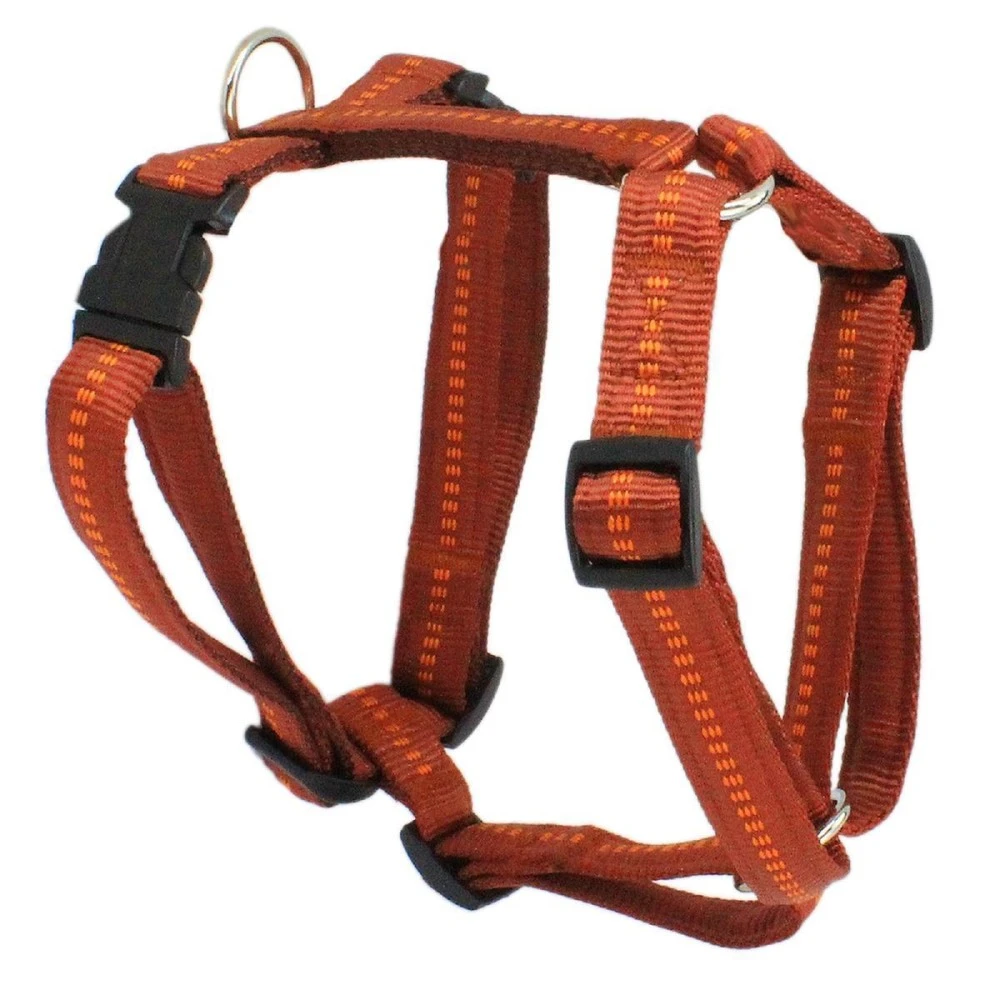 KOCH Geschirr NYLONGESCHIRR Mit Kennfäden 25mm 80-115cm Gepolstert Für Hunde 8 KOCH Geschirr NYLONGESCHIRR Mit Kennfäden 25mm 80-115cm Gepolstert Für Hunde – Bild 8