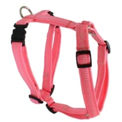 KOCH Geschirr NYLONGESCHIRR Mit Kennfäden 25mm 86-125cm Gepolstert Für Hunde -Karlie || KOCH Verkäufe koch geschirr nylongeschirr mit kennfaeden 25mm 86 125cm gepolstert fuer hunde4