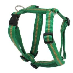 KOCH Geschirr NYLONGESCHIRR Mit Kennfäden Gepolstert 15mm 38-49cm Für Hunde -Karlie || KOCH Verkäufe koch geschirr nylongeschirr mit kennfaeden gepolstert 15mm 38 49cm fuer hunde4