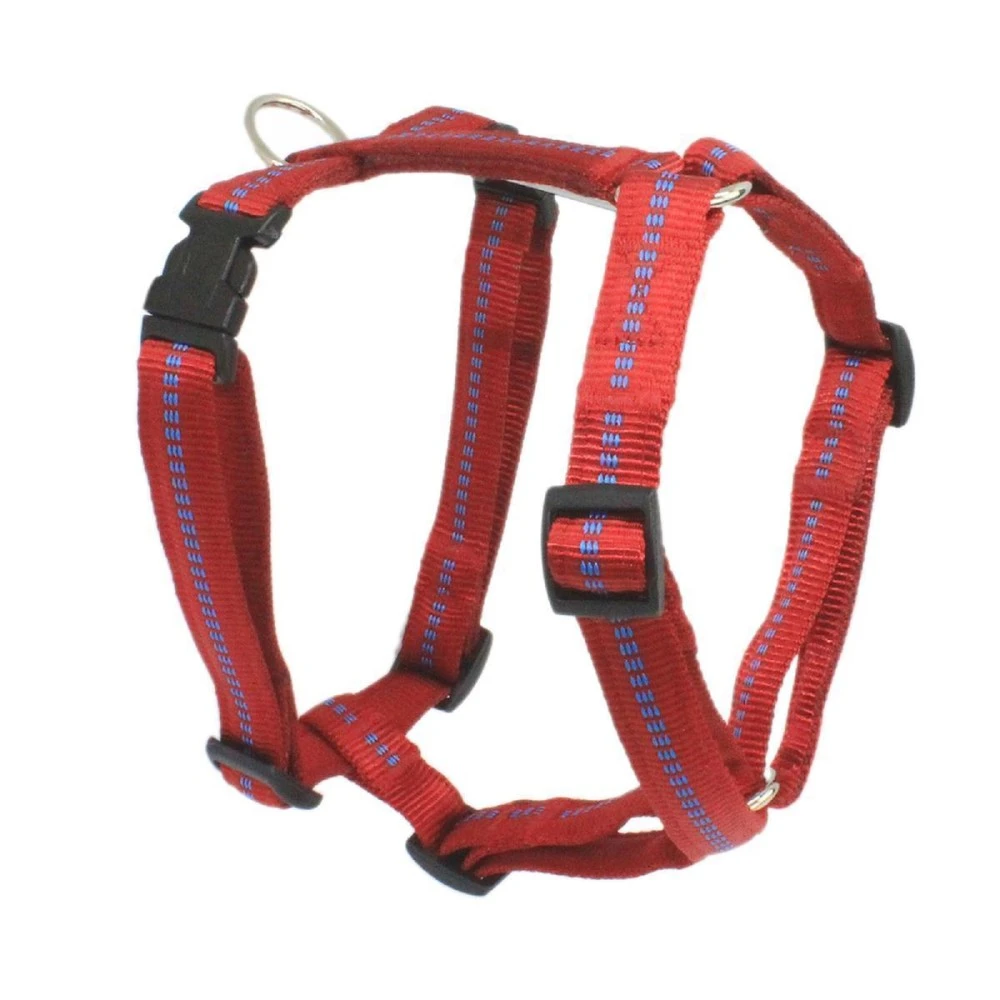 KOCH Geschirr NYLONGESCHIRR Mit Kennfäden Gepolstert 20mm 58-87cm Für Hunde 7 KOCH Geschirr NYLONGESCHIRR Mit Kennfäden Gepolstert 20mm 58-87cm Für Hunde – Bild 7