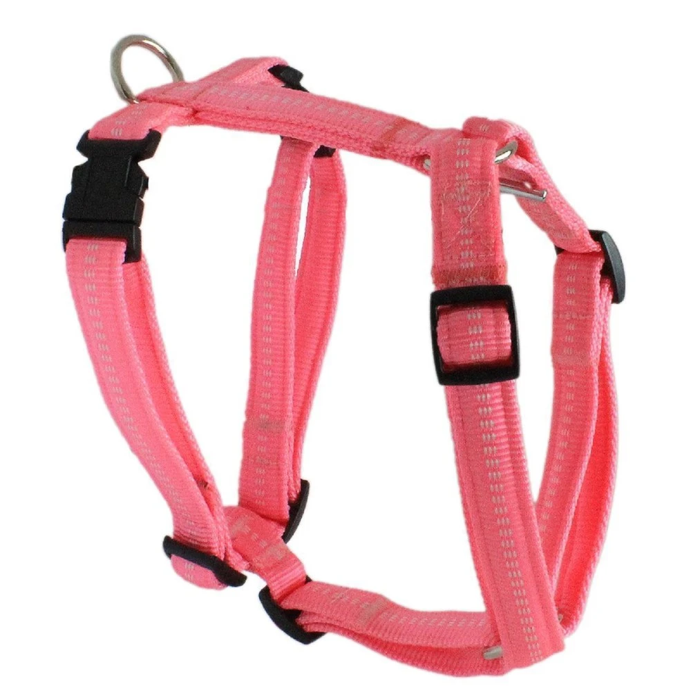 KOCH Geschirr NYLONGESCHIRR Mit Kennfäden Gepolstert 20mm 58-87cm Für Hunde 8 KOCH Geschirr NYLONGESCHIRR Mit Kennfäden Gepolstert 20mm 58-87cm Für Hunde – Bild 8