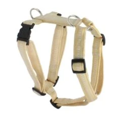 KOCH Geschirr NYLONGESCHIRR Mit Kennfäden Gepolstert 25mm 45-60cm Für Hunde