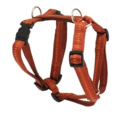 KOCH Geschirr NYLONGESCHIRR Mit Kennfäden Gepolstert 25mm 45-60cm Für Hunde -Karlie || KOCH Verkäufe koch geschirr nylongeschirr mit kennfaeden gepolstert 25mm 45 60cm fuer hunde3