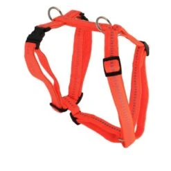 KOCH Geschirr NYLONGESCHIRR Mit Kennfäden Gepolstert 25mm 45-60cm Für Hunde -Karlie || KOCH Verkäufe koch geschirr nylongeschirr mit kennfaeden gepolstert 25mm 45 60cm fuer hunde4