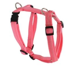 KOCH Geschirr NYLONGESCHIRR Mit Kennfäden Gepolstert 25mm 45-60cm Für Hunde -Karlie || KOCH Verkäufe koch geschirr nylongeschirr mit kennfaeden gepolstert 25mm 45 60cm fuer hunde5