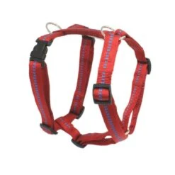 KOCH Geschirr NYLONGESCHIRR Mit Kennfäden Gepolstert 25mm 45-60cm Für Hunde -Karlie || KOCH Verkäufe koch geschirr nylongeschirr mit kennfaeden gepolstert 25mm 45 60cm fuer hunde6