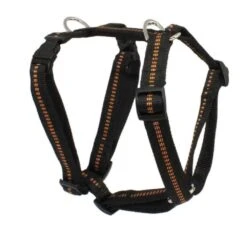 KOCH Geschirr NYLONGESCHIRR Mit Kennfäden Gepolstert 25mm 45-60cm Für Hunde -Karlie || KOCH Verkäufe koch geschirr nylongeschirr mit kennfaeden gepolstert 25mm 45 60cm fuer hunde8