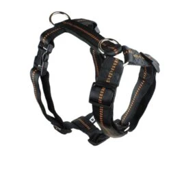 KOCH Geschirr NYLONGESCHIRR Mit Kennfäden Gepolstert Extra Breit 40mm Für Hunde