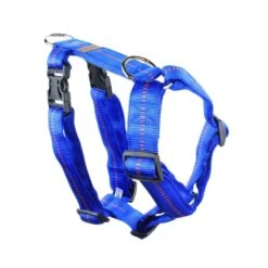 KOCH Geschirr NYLONGESCHIRR Mit Kennfäden Gepolstert Extra Breit 40mm Für Hunde -Karlie || KOCH Verkäufe koch geschirr nylongeschirr mit kennfaeden gepolstert extra breit 40mm fuer hunde3