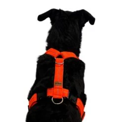 KOCH Geschirr NYLONGESCHIRR Mit Kennfäden Gepolstert Extra Breit 40mm Für Hunde -Karlie || KOCH Verkäufe koch geschirr nylongeschirr mit kennfaeden gepolstert extra breit 40mm fuer hunde4