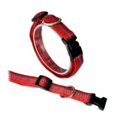 KOCH Halsband KLICK-HALSBAND Mit Kennfäden 20mm 35-55cm Gepolstert Für Hunde -Karlie || KOCH Verkäufe koch halsband klick halsband mit kennfaeden 20mm 35 55cm gepolstert fuer hunde6