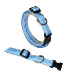 KOCH Halsband KLICK-HALSBAND Mit Kennfäden 20mm 35-55cm Gepolstert Für Hunde -Karlie || KOCH Verkäufe koch halsband klick halsband mit kennfaeden 20mm 35 55cm gepolstert fuer hunde8