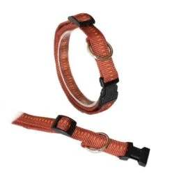 KOCH Halsband KLICK-HALSBAND Mit Kennfäden 25mm 45-65cm Gepolstert Für Hunde