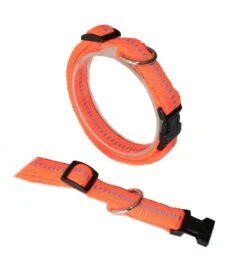 KOCH Halsband KLICK-HALSBAND Mit Kennfäden 25mm 45-65cm Gepolstert Für Hunde -Karlie || KOCH Verkäufe koch halsband klick halsband mit kennfaeden 25mm 45 65cm gepolstert fuer hunde4