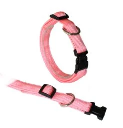 KOCH Halsband KLICK-HALSBAND Mit Kennfäden 25mm 45-65cm Gepolstert Für Hunde -Karlie || KOCH Verkäufe koch halsband klick halsband mit kennfaeden 25mm 45 65cm gepolstert fuer hunde6