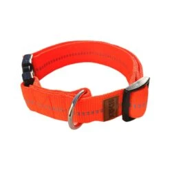 KOCH Halsband KLICK-HALSBAND Mit Kennfäden 40mm 50-70cm Gepolstert Für Hunde -Karlie || KOCH Verkäufe koch halsband klick halsband mit kennfaeden 40mm 50 70cm gepolstert fuer hunde4