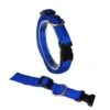 KOCH Halsband KLICK-HALSBAND UNI 15mm 25-35cm Gepolstert Für Hunde