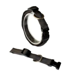 KOCH Halsband KLICK-HALSBAND UNI 15mm 25-35cm Gepolstert Für Hunde -Karlie || KOCH Verkäufe koch halsband klick halsband uni 15mm 25 35cm gepolstert fuer hunde9