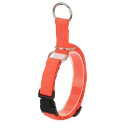 KOCH Halsband NYLON-KLICK-ZUGHALSBAND 25mm 40-55cm Gepolstert Für Hunde -Karlie || KOCH Verkäufe koch halsband nylon klick zughalsband 25mm 40 55cm gepolstert fuer hunde4