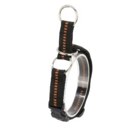 KOCH Halsband NYLON-KLICK-ZUGHALSBAND 25mm 45-65cm Gepolstert Für Hunde