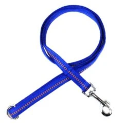 KOCH Leine NYLONLEINE Mit Kennfäden Stadtleine Gepolstert 25mm 120cm Für Hunde -Karlie || KOCH Verkäufe koch leine nylonleine mit kennfaeden stadtleine gepolstert 25mm 120cm fuer hunde3