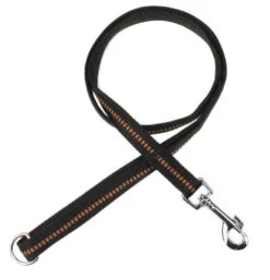 KOCH Leine NYLONLEINE Mit Kennfäden Stadtleine Gepolstert 25mm 120cm Für Hunde -Karlie || KOCH Verkäufe koch leine nylonleine mit kennfaeden stadtleine gepolstert 25mm 120cm fuer hunde5