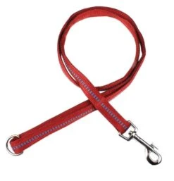 KOCH Leine NYLONLEINE Mit Kennfäden Stadtleine Gepolstert 25mm 120cm Für Hunde -Karlie || KOCH Verkäufe koch leine nylonleine mit kennfaeden stadtleine gepolstert 25mm 120cm fuer hunde8