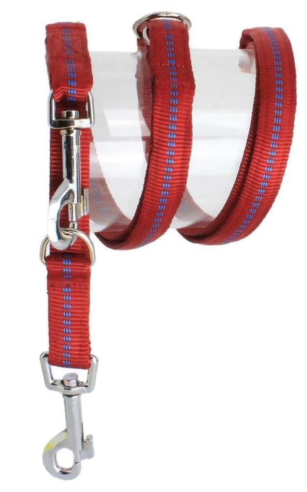 KOCH Leine NYLONLEINE Mit Kennfäden Verstellbar Gepolstert 15mm 200cm Für Hunde 5 KOCH Leine NYLONLEINE Mit Kennfäden Verstellbar Gepolstert 15mm 200cm Für Hunde – Bild 5