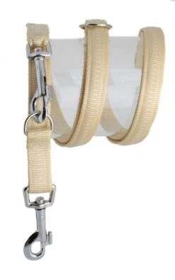 KOCH Leine NYLONLEINE Mit Kennfäden Verstellbar Gepolstert 15mm 300cm Für Hunde 13 KOCH Leine NYLONLEINE Mit Kennfäden Verstellbar Gepolstert 15mm 300cm Für Hunde -Karlie || KOCH Verkäufe koch leine nylonleine mit kennfaeden verstellbar gepolstert 15mm 300cm fuer hunde4