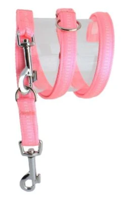 KOCH Leine NYLONLEINE Mit Kennfäden Verstellbar Gepolstert 20mm 200cm Für Hunde 14 KOCH Leine NYLONLEINE Mit Kennfäden Verstellbar Gepolstert 20mm 200cm Für Hunde -Karlie || KOCH Verkäufe koch leine nylonleine mit kennfaeden verstellbar gepolstert 20mm 200cm fuer hunde5