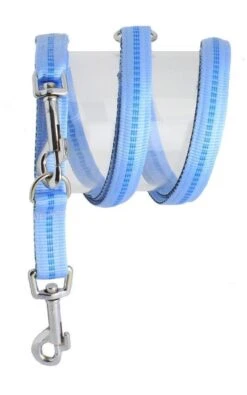 KOCH Leine NYLONLEINE Mit Kennfäden Verstellbar Gepolstert 20mm 200cm Für Hunde 15 KOCH Leine NYLONLEINE Mit Kennfäden Verstellbar Gepolstert 20mm 200cm Für Hunde -Karlie || KOCH Verkäufe koch leine nylonleine mit kennfaeden verstellbar gepolstert 20mm 200cm fuer hunde6