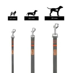 KOCH Leine WATERPROOF Trainingsleine Ohne Handschlaufe Grau/Neonorange Für Hunde 20 KOCH Leine WATERPROOF Trainingsleine Ohne Handschlaufe Grau/Neonorange Für Hunde -Karlie || KOCH Verkäufe koch leine waterproof trainingsleine ohne handschlaufe grau neonorange fuer hunde10