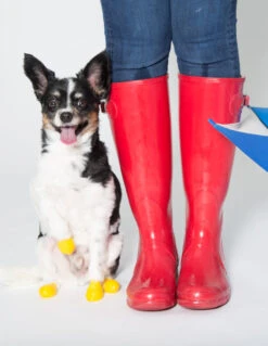 TRILUS Pfotenschutz PROTEX PAWZ 12 Stück Versch. Größen Wasserdicht Für Hunde