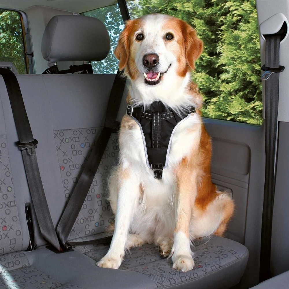 TRIXIE Kfz-Zubehör AUTO-GESCHIRR COMFORT Versch. Größen Schwarz Für Hunde 2 TRIXIE Kfz-Zubehör AUTO-GESCHIRR COMFORT Versch. Größen Schwarz Für Hunde – Bild 2