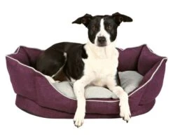 TRIXIE Liegebett BETT PYRA 55 X 42 Cm Lila/grau Wendekissen Für Hunde