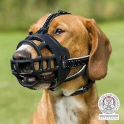 TRIXIE Maulkorb MUZZLE FLEX Silikon Schwarz Versch. Größen Für Hunde -Karlie || KOCH Verkäufe trixie maulkorb muzzle flex silikon schwarz versch groessen fuer hunde6