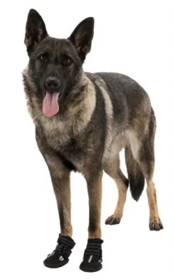 TRIXIE Schuh Pfotenschutz WALKER ACTIVE Größe XL 2 Stück Für Hunde -Karlie || KOCH Verkäufe trixie schuh pfotenschutz walker active groesse xl 2 stueck fuer hunde8