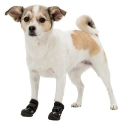 TRIXIE Schuh Pfotenschutz WALKER ACTIVE Größe XS-S 2 Stück Für Hunde -Karlie || KOCH Verkäufe trixie schuh pfotenschutz walker active groesse xs s 2 stueck fuer hunde8