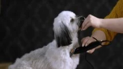 WAHL Schermaschine MOSER REX CLIPPER Sehr Leise Für Hunde -Karlie || KOCH Verkäufe wahl schermaschine moser rex clipper sehr leise fuer hunde8